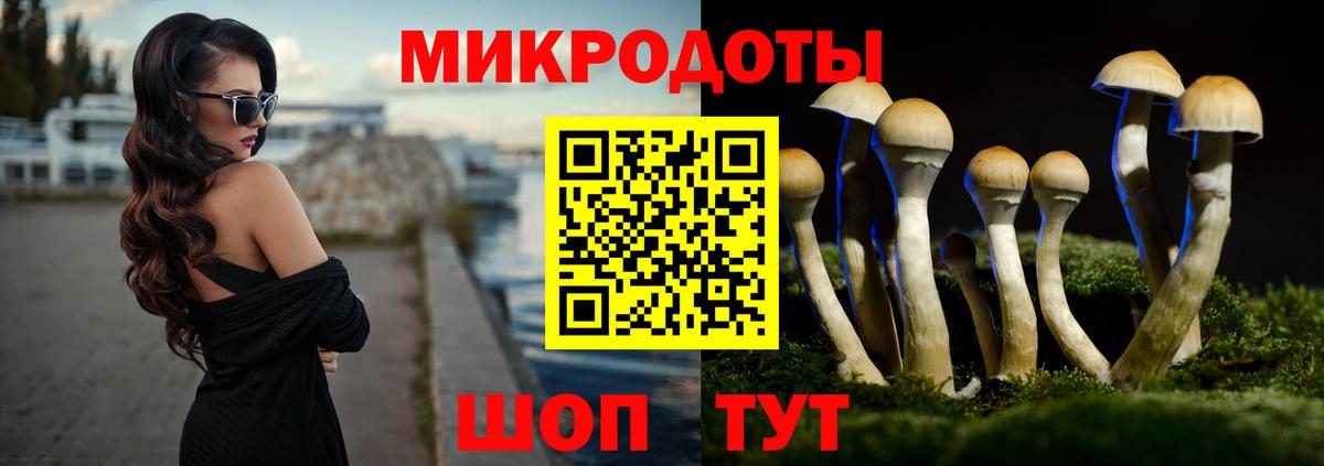 Галлюциногенные грибы MAGIC MUSHROOMS  Вход с VPN  где найти наркотики  Ярославль 