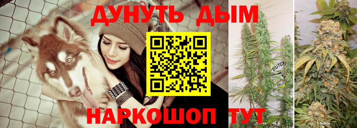 Бошки марихуана семена  Вход с VPN  Шишки марихуана индика  Ярославль  Конопля OG Kush  Бошки Шишки MAZAR 